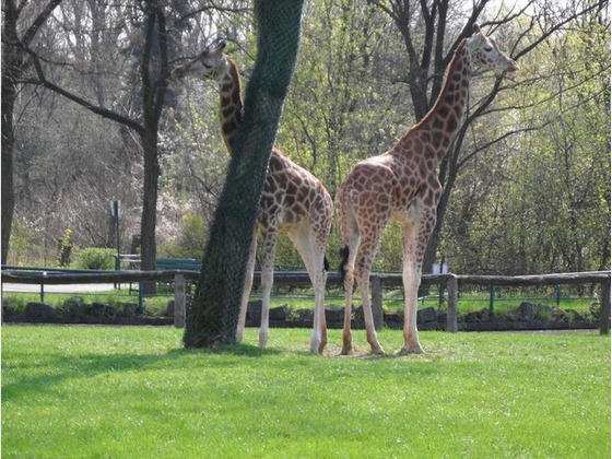 Fotografie lokality