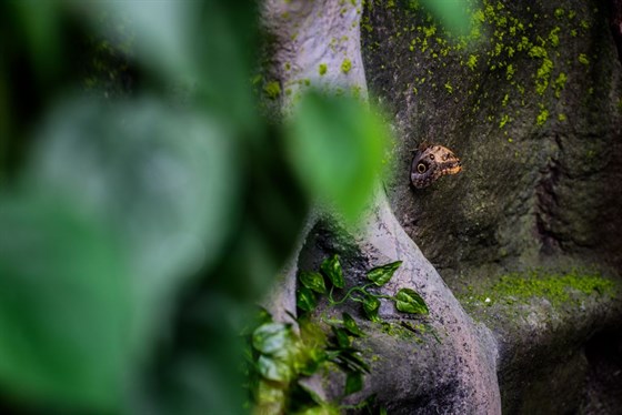 Fotografie lokality