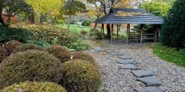 Prague Botanical Garden - japanese garden
