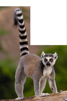 Fotografie lokality