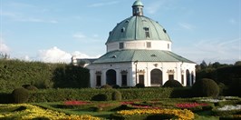 Castle Kroměříž - Flower garden - camellia