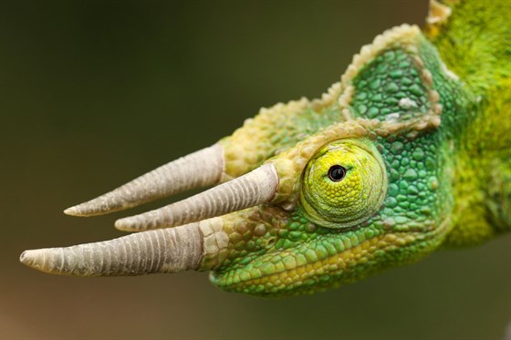 Zoopark zájezd