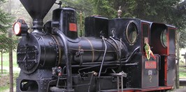 The Kysuce-Orava forest railway