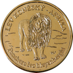 ZOO Ústí nad Labem – Lev Konžský